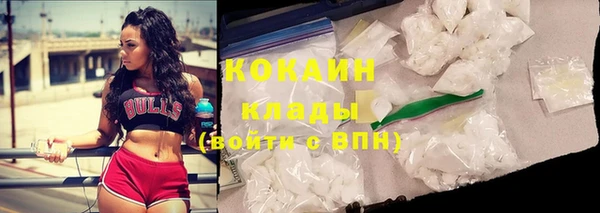 винт Богородицк