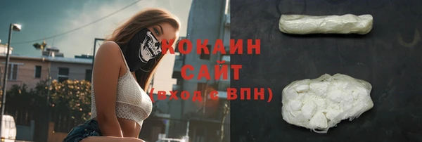 винт Богородицк