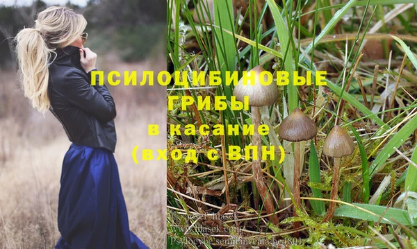 эйфоретик Богданович