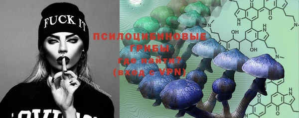 спиды Бугульма