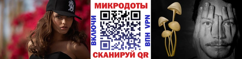 наркота  Мурино  Галлюциногенные грибы Psilocybine cubensis 